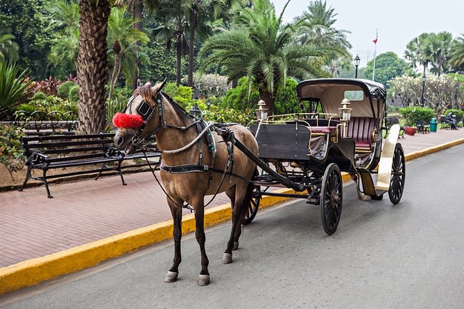 Aswan City Tour on Horse Carriage