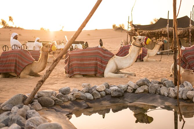 Bedouin Desert Safari by Jeep 4x4