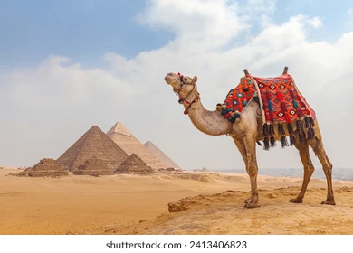Camel Ride or Horse Ride Trip at Giza Pyramids During Sunrise or Sunset