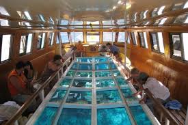 Glass Bottom Boat Tour