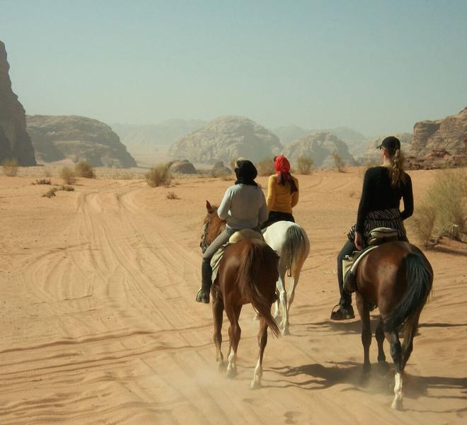 Horse Riding Safari