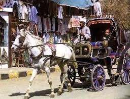 Luxor by Night Horse Carriage Tour