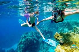 Snorkel, Camel Ride & Quad Bike Full Day in Dahab from Taba