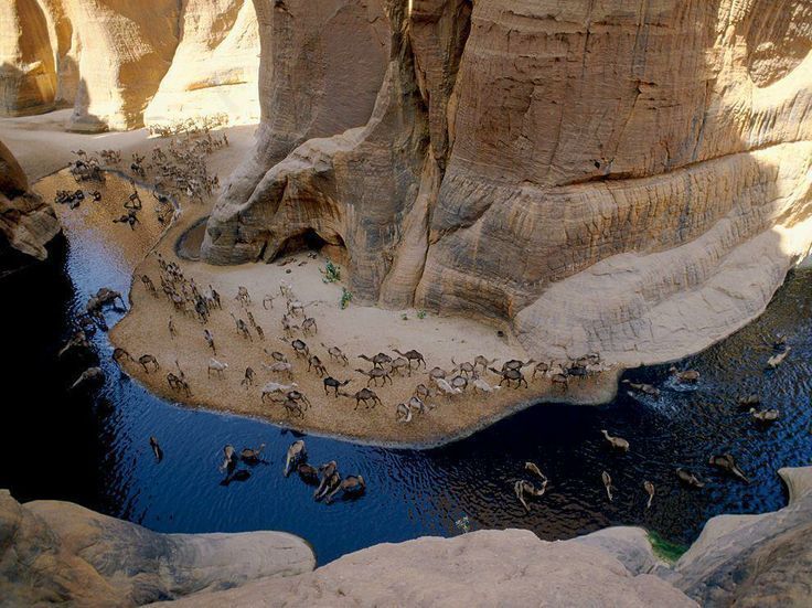 Safari Day Tour to Wadi El Gamal National Park